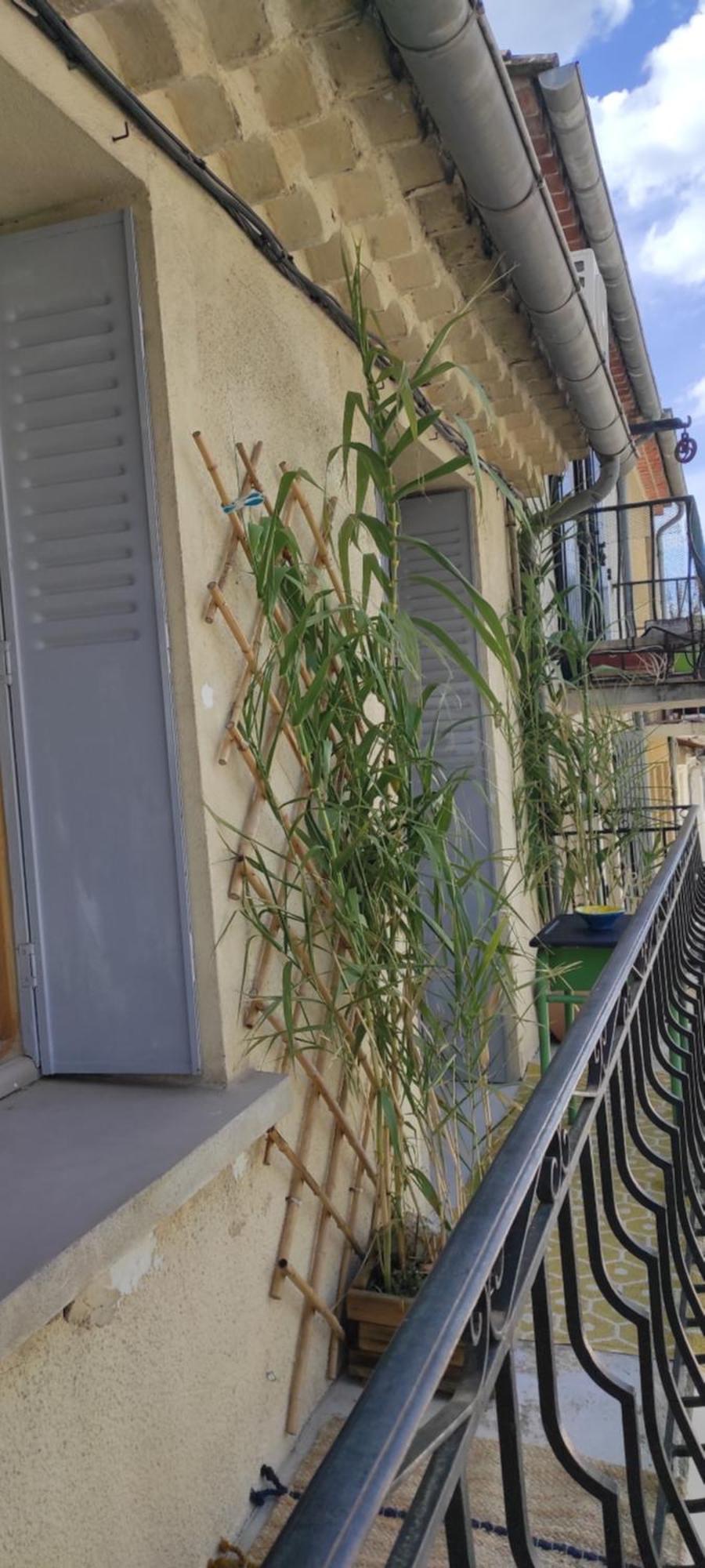 Y Here Vaison-la-Romaine Ngoại thất bức ảnh